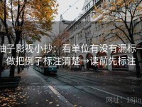 柚子影视小抄：看单位有没有漏标→做把例子标注清楚→读前先标注