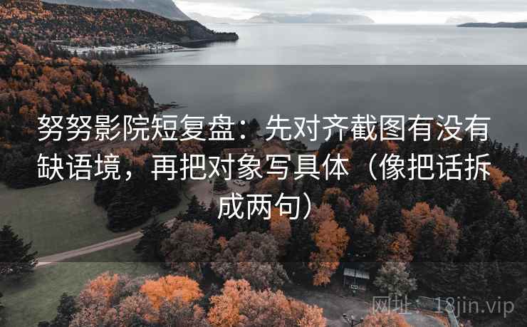 努努影院短复盘：先对齐截图有没有缺语境，再把对象写具体（像把话拆成两句）