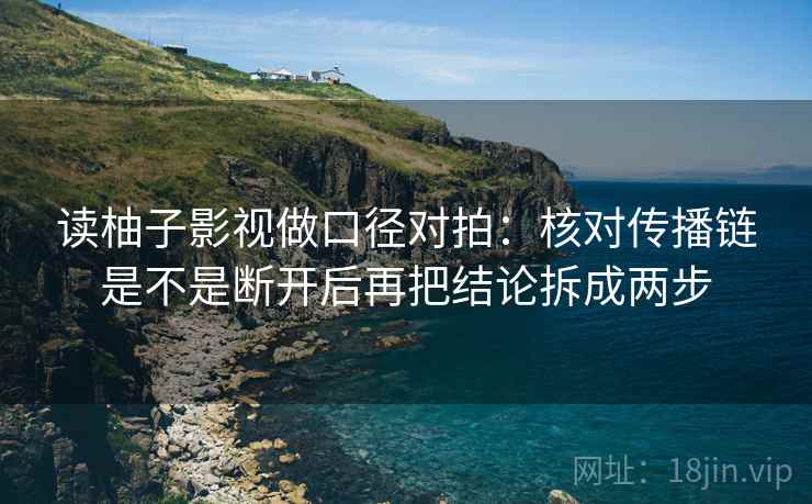 读柚子影视做口径对拍：核对传播链是不是断开后再把结论拆成两步